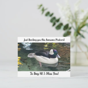Cartão Postal Carto Pato "Sinto Saudades DE VOCÊ" Dizendo Olá Ca