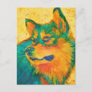 Cartão Postal Cartões-postais coloridos do Dog Lover Alaskan Mal