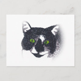 Cartão Postal Cartões-postais com rosto de gato Tuxedo