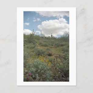 Cartão Postal Cartões-postais de Arizona Sonoran para Sinfonia
