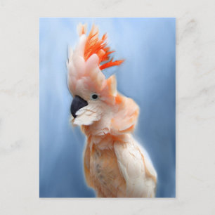 Cartão Postal Cartões-postais de Cockatoo Detidos em Salmão