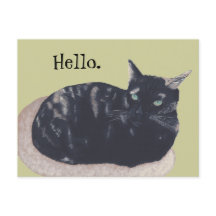 Cartões-postais de saudação de tortoise em repouso