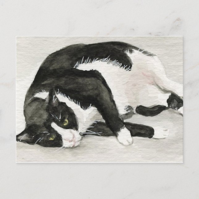 Cartão Postal Cartões-postais "Tuxedo Cat Confortável" (Frente)