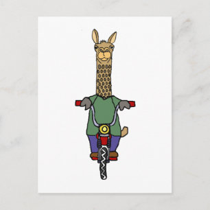 Cartão Postal Cartografia da Bicicleta legal Llama Riding