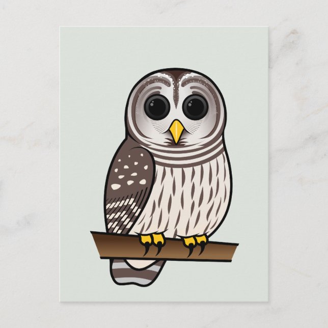 Cartão Postal Cartoon Barred Owl (Frente)