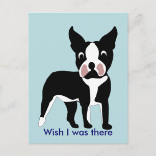 Cartão Postal Cartoon Boston Terrier Postcard