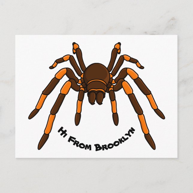 Cartão Postal Cartoon de aranha-do-marrom e-laranja-acastanhado (Frente)