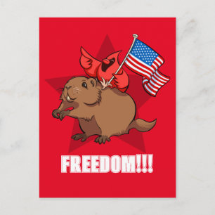 Cartão Postal Cartoon do Cardinal Vermelho Excêntrico & Liberdad