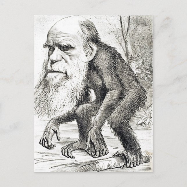 Cartão Postal Cartoon Editorial De Charles Darwin 1871 (Frente)
