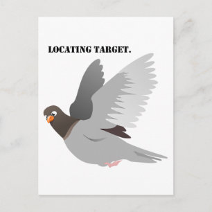 Cartão Postal Cartoon Engraçado Pigeon, Humor de Aves "Localizan