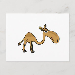Cartão Postal Cartoon Funky Camel
