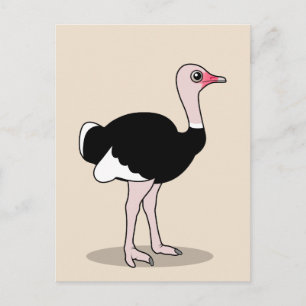 Cartão Postal Cartoon Ostrich