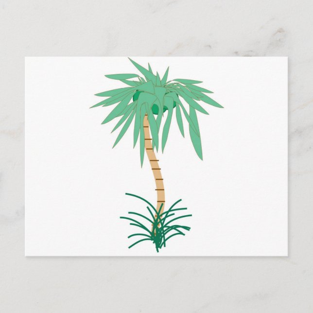 Cartão Postal Cartoon Palm Tree (Frente)