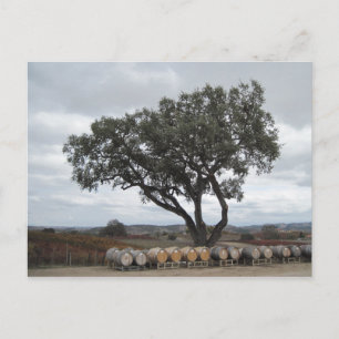 Cartão Postal Carvalho com Barris de Vinho, Robles de Porco