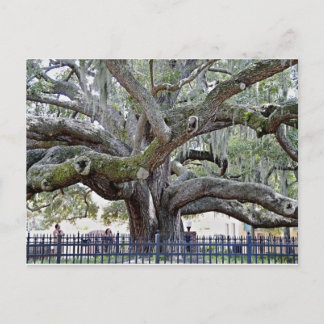Cartão Postal Carvalho de Baranoff - Porto de Segurança, FL