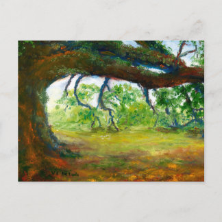 Cartão Postal Carvalho velho enorme de Louisiana