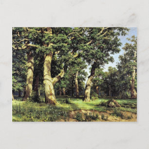 Cartão Postal Carvalhos Alemães ao Anoitecer por Schischkin Iwan