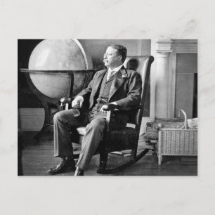 Cartão Postal Casa Branca do Presidente Ursinho Roosevelt Vintag