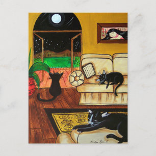Cartão Postal Casa de Gatos Cheia Lua