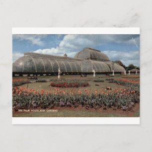 Cartão Postal Casa de Palmeiras do Kew Gardens Vista Floral Vint