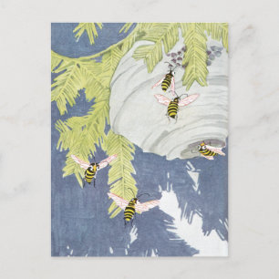 Cartão Postal Casacos de face careca e seu ninho de papel