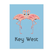 Casal de Flamingo Rosa de Key West Flórida
