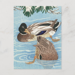 Cartão Postal Casal de Patos no Qater por Ohara Koson