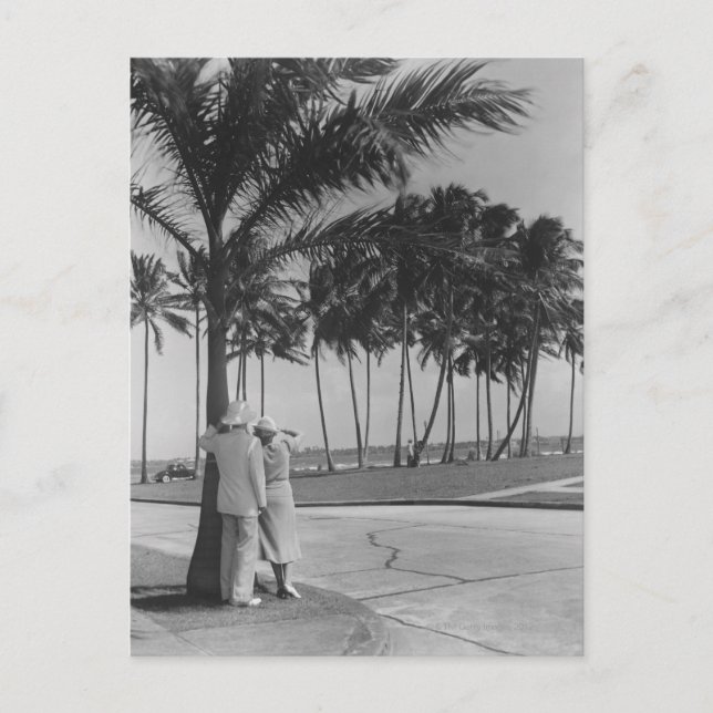 Cartão Postal Casal em árvore (Frente)