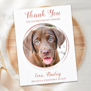 Cartão Postal Casamento de Cachorro-Pet Dourado Elegante - Obrig