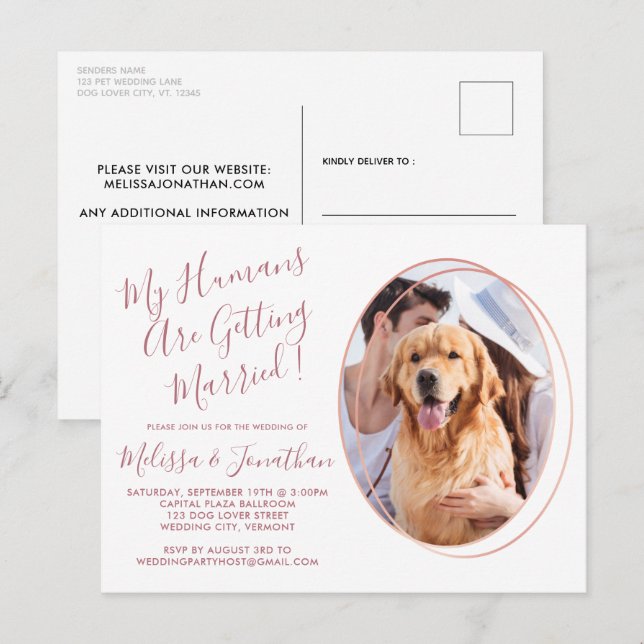 Cartão Postal Casamento de Fotos Personalizadas de Pet com Rosa  (Frente/Verso)
