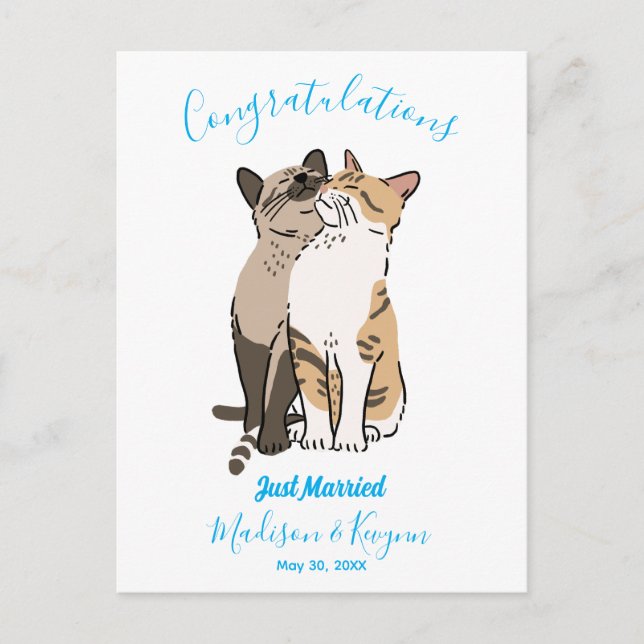 Cartão Postal Casamento de Gatos Fofos (Frente)