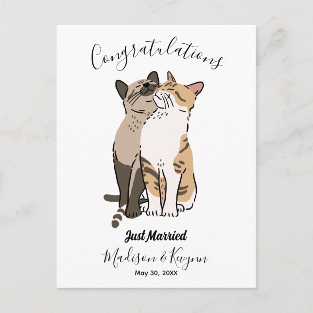 Cartão Postal Casamento de gatos fofos  (Frente)