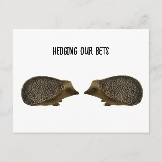 Cartão Postal Casamento de Hedgehogs - Casamento engraçado de He (Frente)