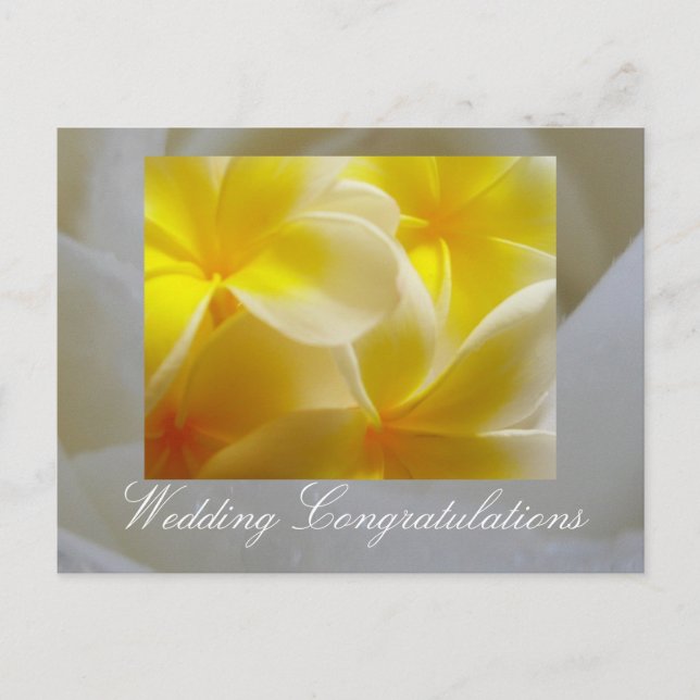 Cartão Postal Casamento de Verão (Frente)