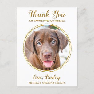 Cartão Postal Casamento Dourado de Pet Dog Elegante Obrigado