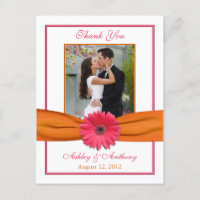Casamento Pink Gerber Daisy Orange Ribbon Obrigado