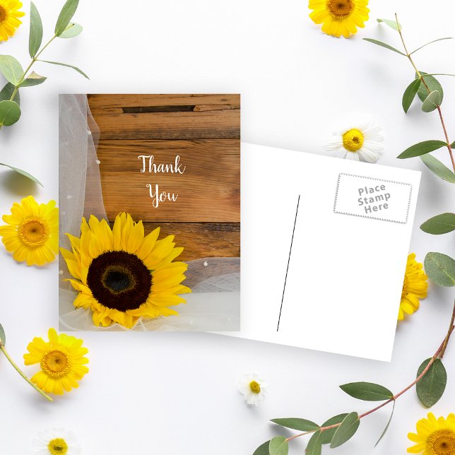 Cartão Postal Casamento Rustic Sunflower Veil Country Obrigado (Criador carregado)