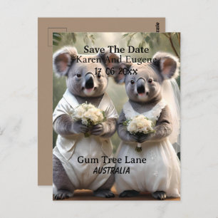 Cartão Postal Casamento White Australiano Koala Bear