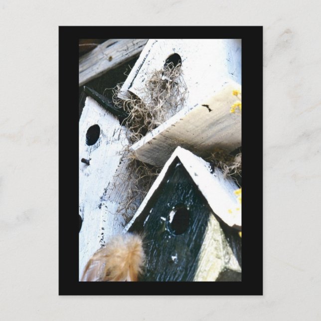 Cartão Postal Casas de aves (Frente)
