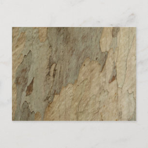 Cartão Postal Casca de Árvore III Design Texturizado Abstrato Na
