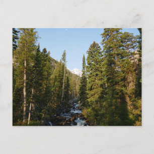 Cartão Postal Cascade Creek em Grand Teton
