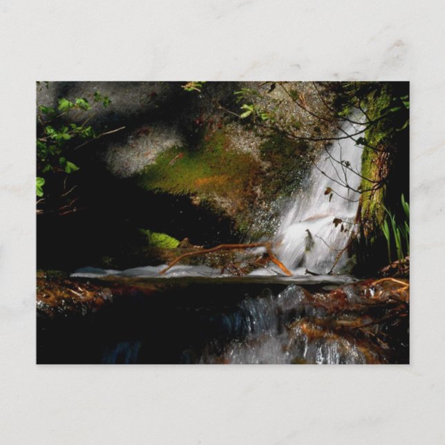 Cartão Postal CASCADE. PISCINA. CAIR. Meditação - uma forma de o (Frente)