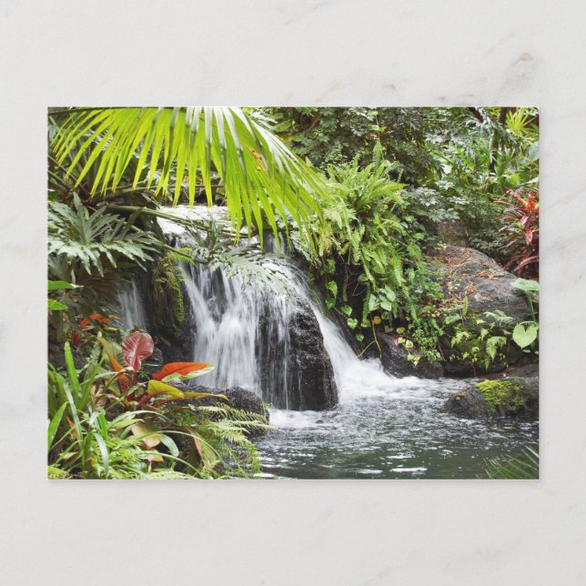 Cartão Postal Cascata (Frente)