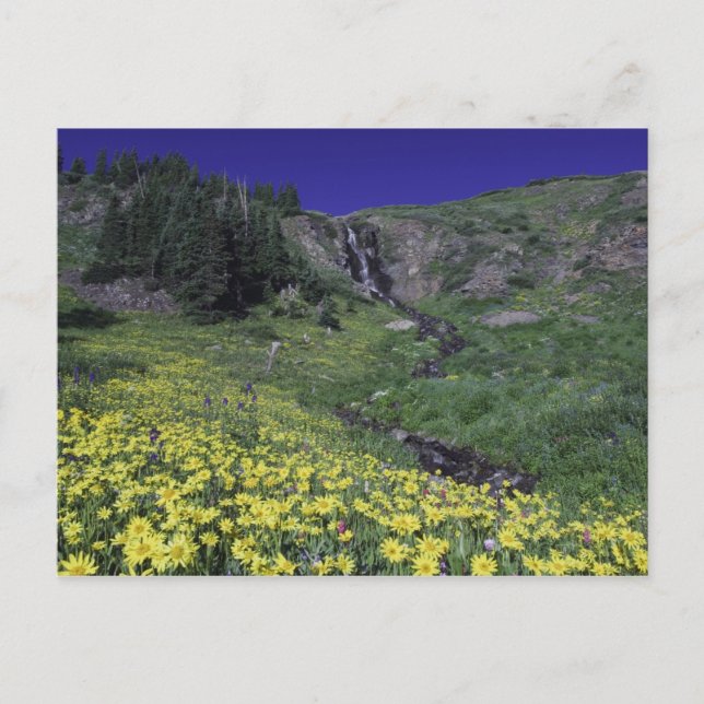 Cartão Postal Cascata e flores silvestres nos prados alpinos, 3 (Frente)