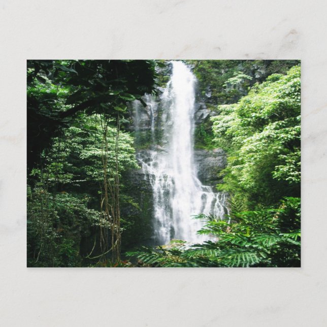 Cartão Postal Cascata Havaiana (Frente)