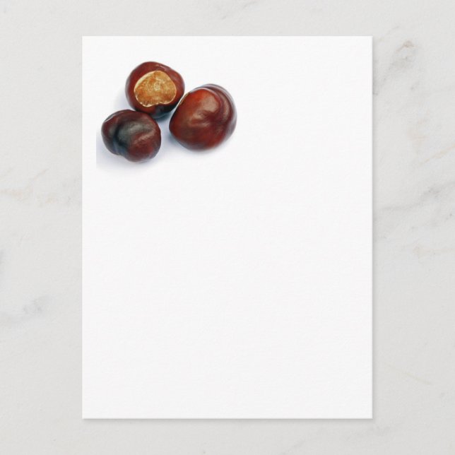 Cartão Postal castanha (Frente)