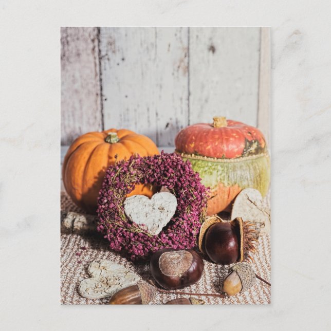 Cartão Postal Castanha-do-mato-seca sazonal e abóbora-da-índia (Frente)