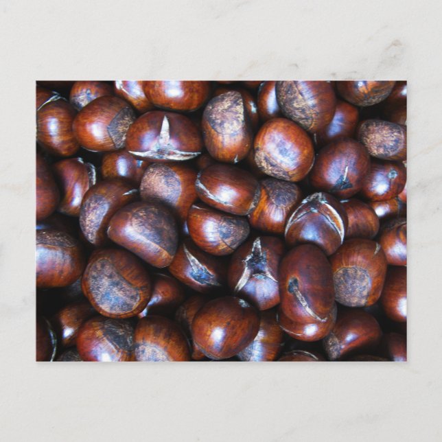 Cartão Postal Castanhas (Frente)