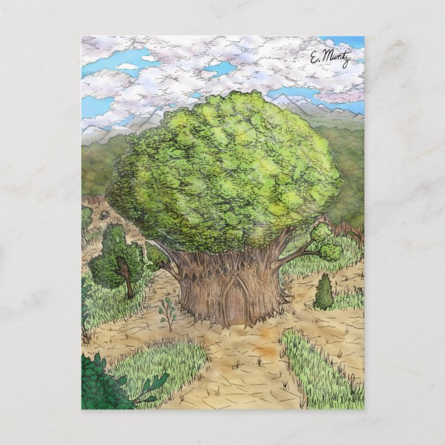 Cartão Postal Castelo de Árvore Encantado (Frente)