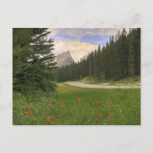 Cartão Postal Castle Mountain